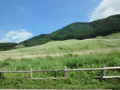 清涼を求めて箱根へ　東急ハーヴェストクラブＶＩＡＬＡ箱根翡翠　その①