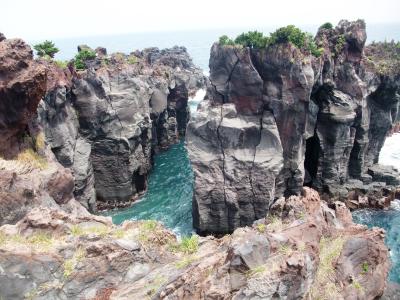 城ヶ崎海岸ピクニカルコースと自然研究路ウオーク