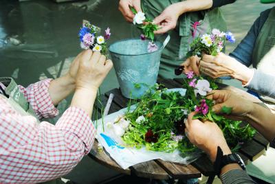 Japan　昭和記念公園　ハーブガーデン　～ミツバチばあやの冒険～