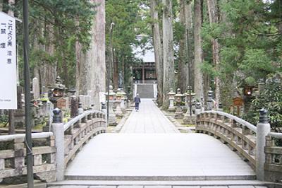 パックツアーで参加してみました。紀伊半島周遊3日間　【３日目】