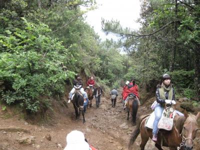 心の旅　中国　雲南省　麗江