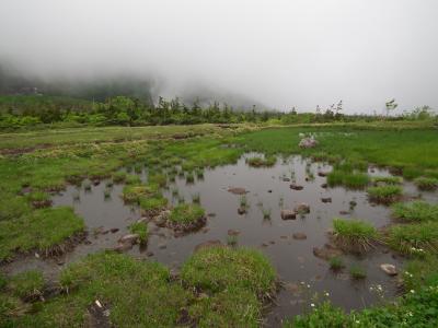 栂池　天狗原