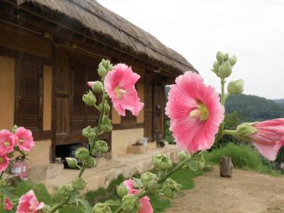 韓国縦断の旅