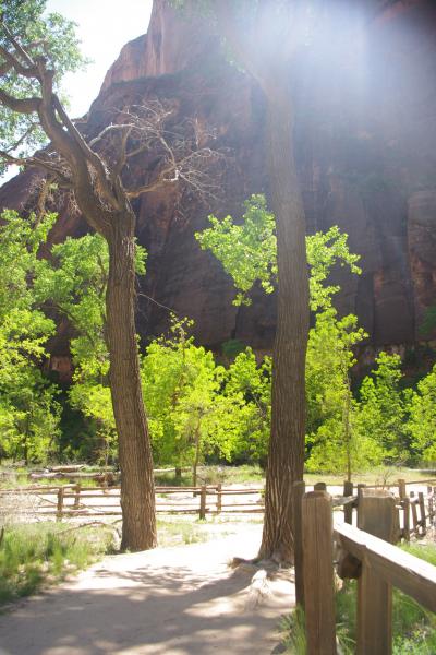 Zion National Park(6)：Deepening Canyon,Temple Sinawava