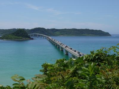 愛犬を連れての温泉旅行2011.7月