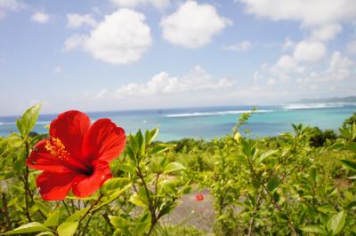 石垣島旅行～ 竹富島、西表島