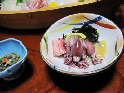 春に雪降る北陸旅行(1日目)