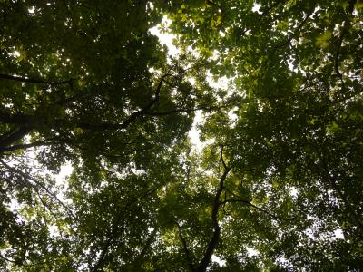 はじめての六魂祭☆グルメと温泉、東北地方応援の旅　vol.3　秋保滝と新潟まわりの帰路