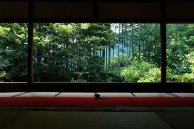 涼を味わう真夏の京都旅行③：三千院、実光院、宝泉院、寂光院