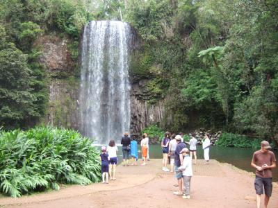 激走1,000km、ケアンズ周辺旅行。
