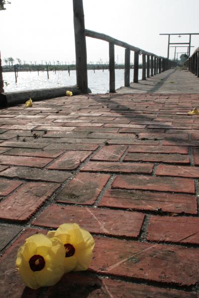 台風バイバイ!ハロー台南!の旅 其の二