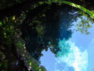 柿田川公園の清流と神秘の青色