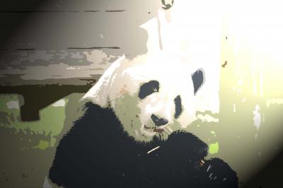 夏の家族旅行第1弾　南紀白浜への旅　その③　-白浜アドベンチャーワールド編　前編-　念願のゾウさんパンダさんキリンさんに会ってきました