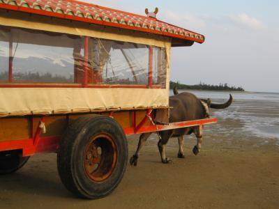 新婚旅行記・3 「東洋のガラパゴス」