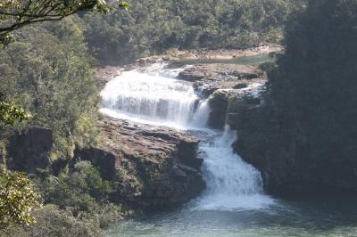 新婚旅行記・4 「ジャングルを歩く」