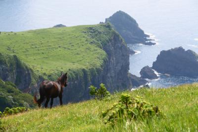 離島の旅***絶景隠岐を撮ろう***