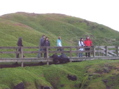 真冬のメルボルン*ふらり旅②(フィリップ島ツアー)