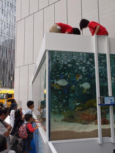 銀座に水族館やってきた　２０１１　中