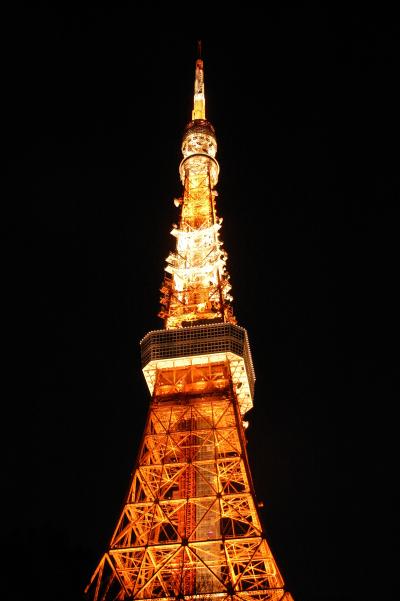 TOKYO旅行 2011 その3 東京タワーからの夜景