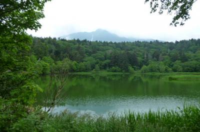 34-利尻島・礼文島ハイキング