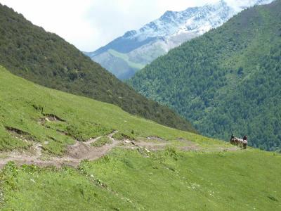 四姑娘山の近辺で登山と高山植物