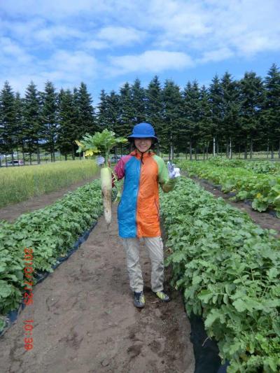 ◆初夏の北海道満喫ドライブ旅行◆その1:北広島「くるるの杜」で大根収穫体験!