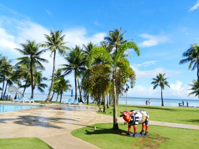 突然のお誘いグアム旅