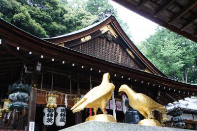 滋賀県の食の旅（大人気のバームクーヘン、お食事処で滋賀の味を満喫）＆日牟禮八幡宮でパワー充電