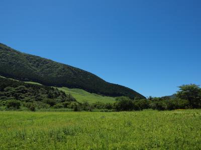 気持ちのよい夏の青空の下、箱根仙石原にあるバリアフリーの箱根湿生花園を散策　２０１１年７月