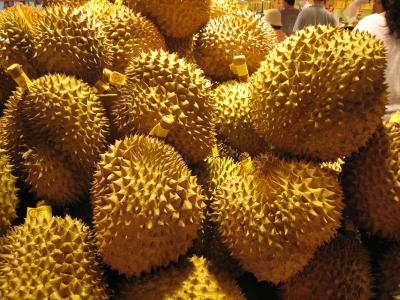 また来ちゃった台湾2011