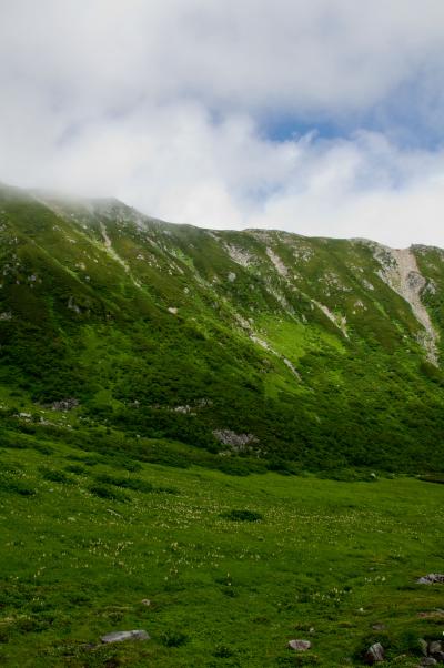 2011年　夏の千畳敷カール　～高山植物のお花畑～