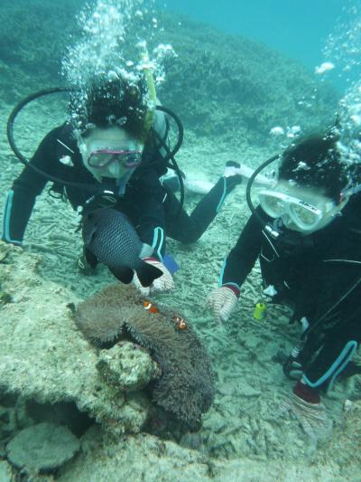 おきなわ満喫8日間♪2日目【青の洞窟ダイビング】