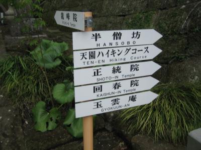 鎌倉～天園ハイキングコース