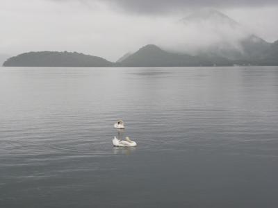 ひまわり畑と洞爺湖の風景◆2011年7月の北海道は雨だった【その１０】