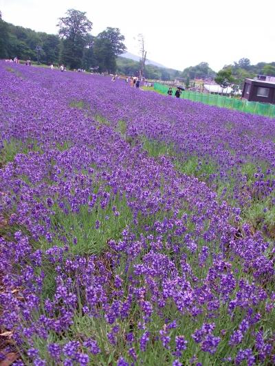 群馬県沼田市1泊2日の旅①玉原、吹割の滝、老神温泉