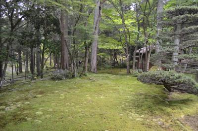 苔寺で写経を体験