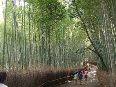 2011　夏　京都（嵐山＆清水寺）　新・都ホテル（サウスウィング）