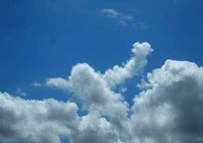 天使がいっぱい☆マイアミ