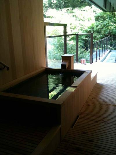 湯河原・海石榴(つばき)