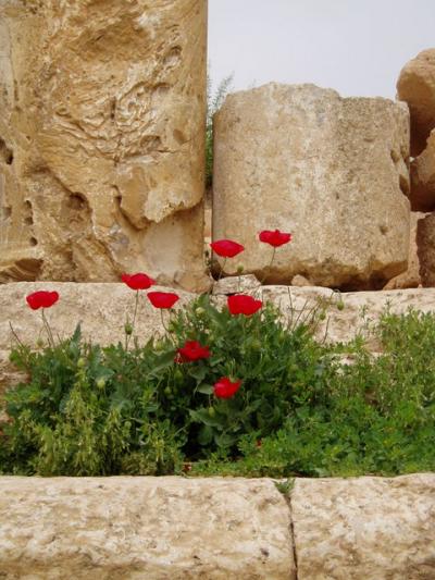 シリア・ヨルダン、遺跡と旧約聖書の世界を巡る13日間の旅　③マダバ・死海・ジェラシュ