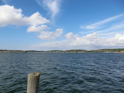 スエーデンで刺身釣り・・・しかし釣れたのは・・・