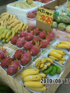 自然を求めて奄美大島~加計呂麻島