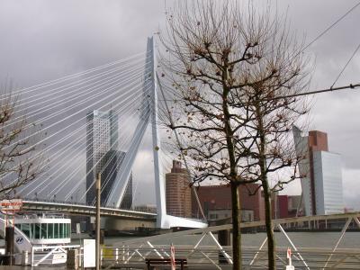 オランダ・ベルギー旅行 2009 (3/5) ～ロッテルダム観光