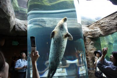 夏の北海道家族旅行