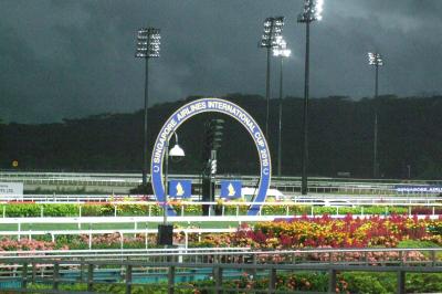 現地購入的中単勝馬券【2006 年シンガポール航空国際カップ