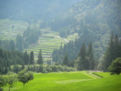 涼を求めて日本の真ん中あたりに!