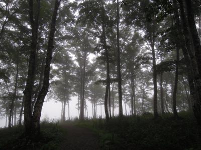 長野で避暑　2日目