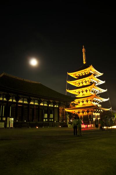 2011年　奈良公園の燈花会