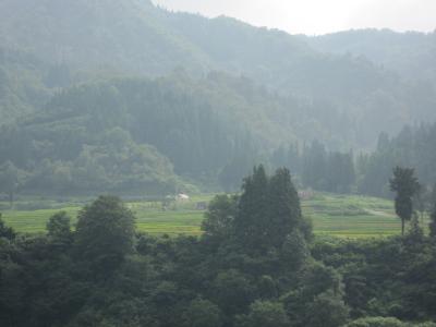 キャンプで過ごす夏休み♪　in 津南　～1日目～　