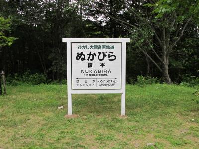 暑い北海道はどうだ！【1.層雲峡～三国峠～糠平～ナイタイ高原】